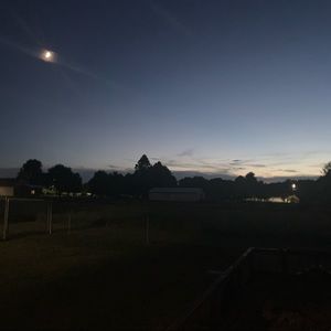 Meet your Posher, Lacy